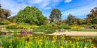 Japanese Garden - Cowra 